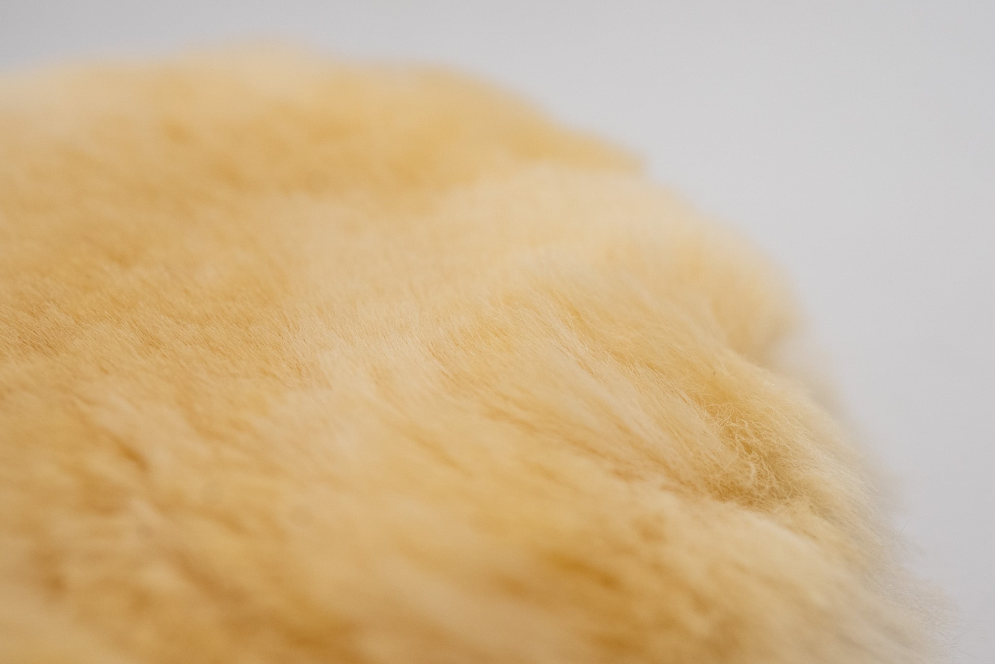 Maxshine Premium Sheepskin Wool Mitt